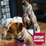 Barb Mack - @barbmack001 - Instagram