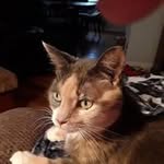 Barb Mack - @barbmack29 - Instagram
