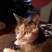 Barb Mack - Facebook