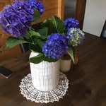 Barb Mackay - @barbmackay - Instagram