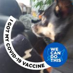 Barb Mackenzie - @barbmackenzie1951 - Instagram