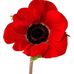 Barb Mackey - Facebook