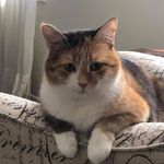 Barb Madison - @bmad121 - Instagram