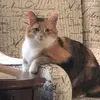barbmadison1 - @barbmadison1 - TikTok