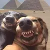 ☆ʙᴀʀʙ|♥︎|ᴍᴀᴋɪ☆ - @barb..maki - TikTok