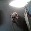 Barb Makiewicz - @barb.makiewicz - TikTok
