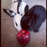 Barb Mallon - @barbmallon - Instagram