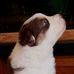 Barbara Mallory - Facebook