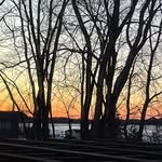 Barb Mann - @babzmann - Instagram