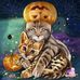 Barb Mann - Facebook