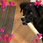 Barb Mann Pensinger - @mannpensinger - Instagram