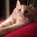 Barb Mannion - Facebook