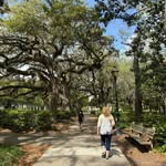 Barb Mapes Rapson - @barapson - Instagram