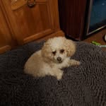 Barb Marler - @barb.marler.7 - Instagram