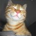 Barb Martin - Facebook