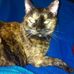 Barb Martin - Facebook