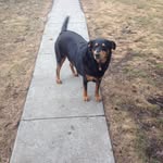Barb Masters - @nevadasgrandma - Instagram