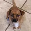 barb3r_ahh💅🏿 - @barbara.mathews64 - TikTok