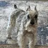Barb Mathis - @barb.mathis4 - TikTok