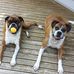 Barb Matthews - Facebook
