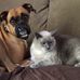 Barb Matthews - Facebook