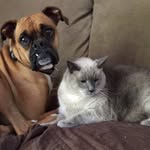 Barb Matthews - @barb.matthews.773 - Instagram