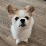 Barb Mauler - @maulerbarb - Instagram