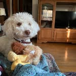 Barb Maxey Rudolph - @maxeyrudolph - Instagram