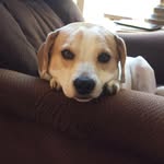 Barb Maxwell - @barbosu71 - Instagram