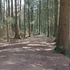 Barbra McBride - @barbra.mcbride0 - TikTok