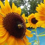 Barb McCarthy - @barb.mccarthy.31 - Instagram