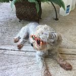 Barb McCarthy - @mccarthy_barb - Instagram