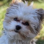 Barbara McCarty-Shields - @barb__allen59 - Instagram