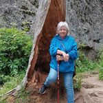 Barb McClain - @barbmcclain - Instagram