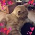 Barb Mcclain - Facebook