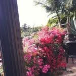 Barb McCormack - @barbmccormack - Instagram