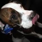 Barb Stewart McCoy - @pretzelmama - Instagram
