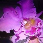 Barb Stebick Mcdermott - @stebickmcdermott - Instagram