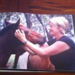 Barbara McDermott - @barbmcdermott - Instagram