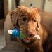 Barb Mcdonnell - Facebook