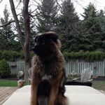 Barb McDowell - @mcdowell.barb - Instagram