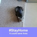 Barb Mcgee - @barb.mcgee.58 - Instagram