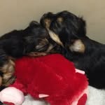 Barb McGee - @barbara_mcgee - Instagram