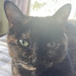 BarbMcGee - @barb__mcgee - Instagram