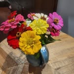 Barb McGill - @mcgill4556 - Instagram