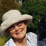 Barbara Mcgillivray - @barbara.mcgillivray.nz - Instagram