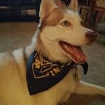 Barb McGowan Berry - @mcgowanberry - Instagram