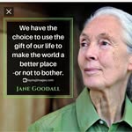 Barb McGregory - @barbmcgregory - Instagram