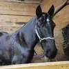 Barb Mckay217 - @barbmckay63 - TikTok