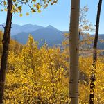 Barb McKay - @barbmckay - Instagram